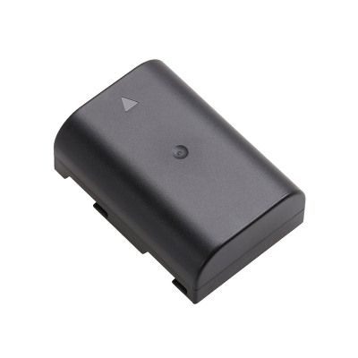 ZXI DMW-BLF19 Battery for Panasonic Lumix DMC-GH3 DMC-GH4 DC-GH5S DC-G9 Sigma SD Quattro Replacement - DMW-BLF19 BATTERY